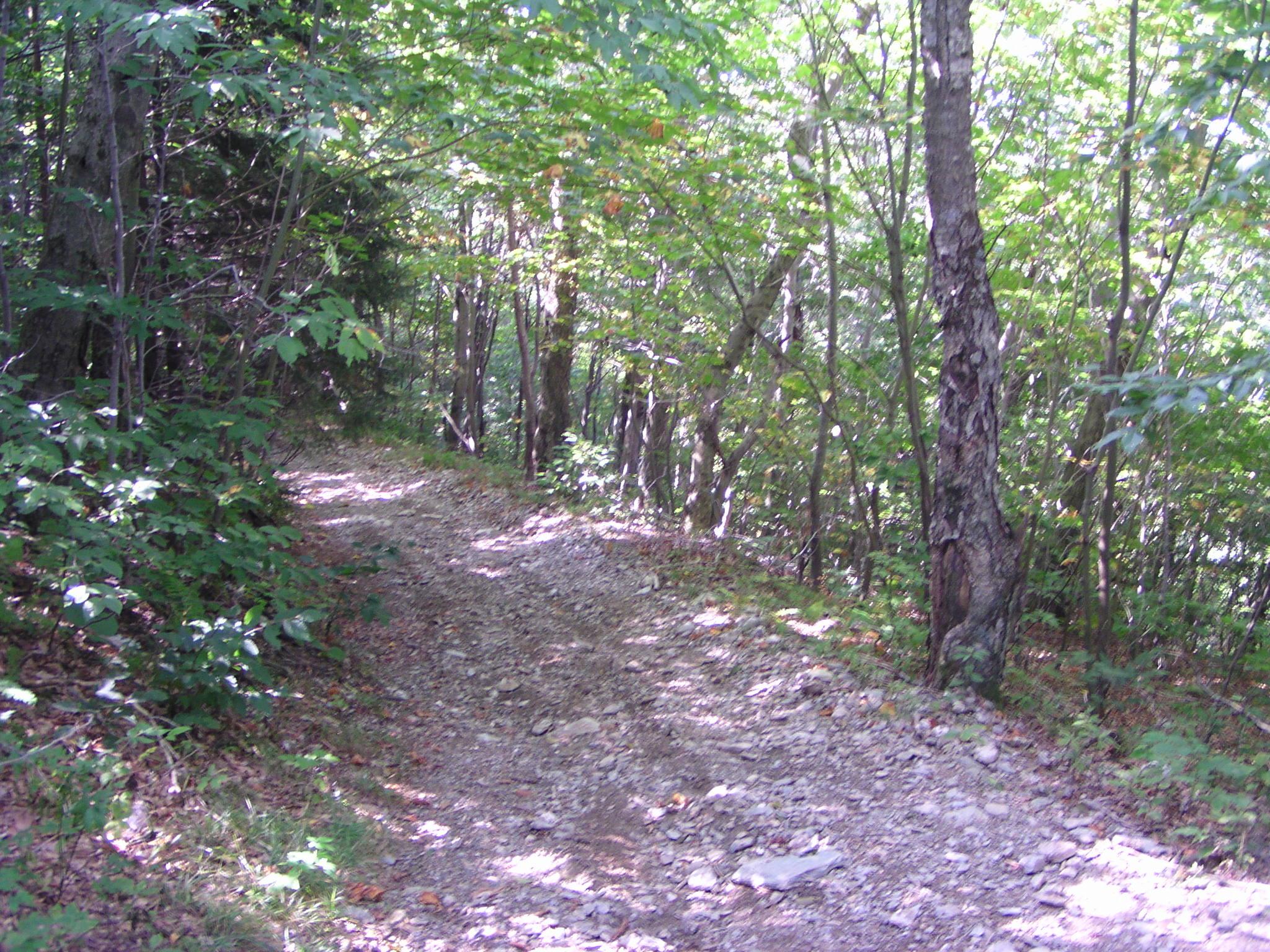 Taconic Crest Trail, Petersburg, New York September 6, 2004