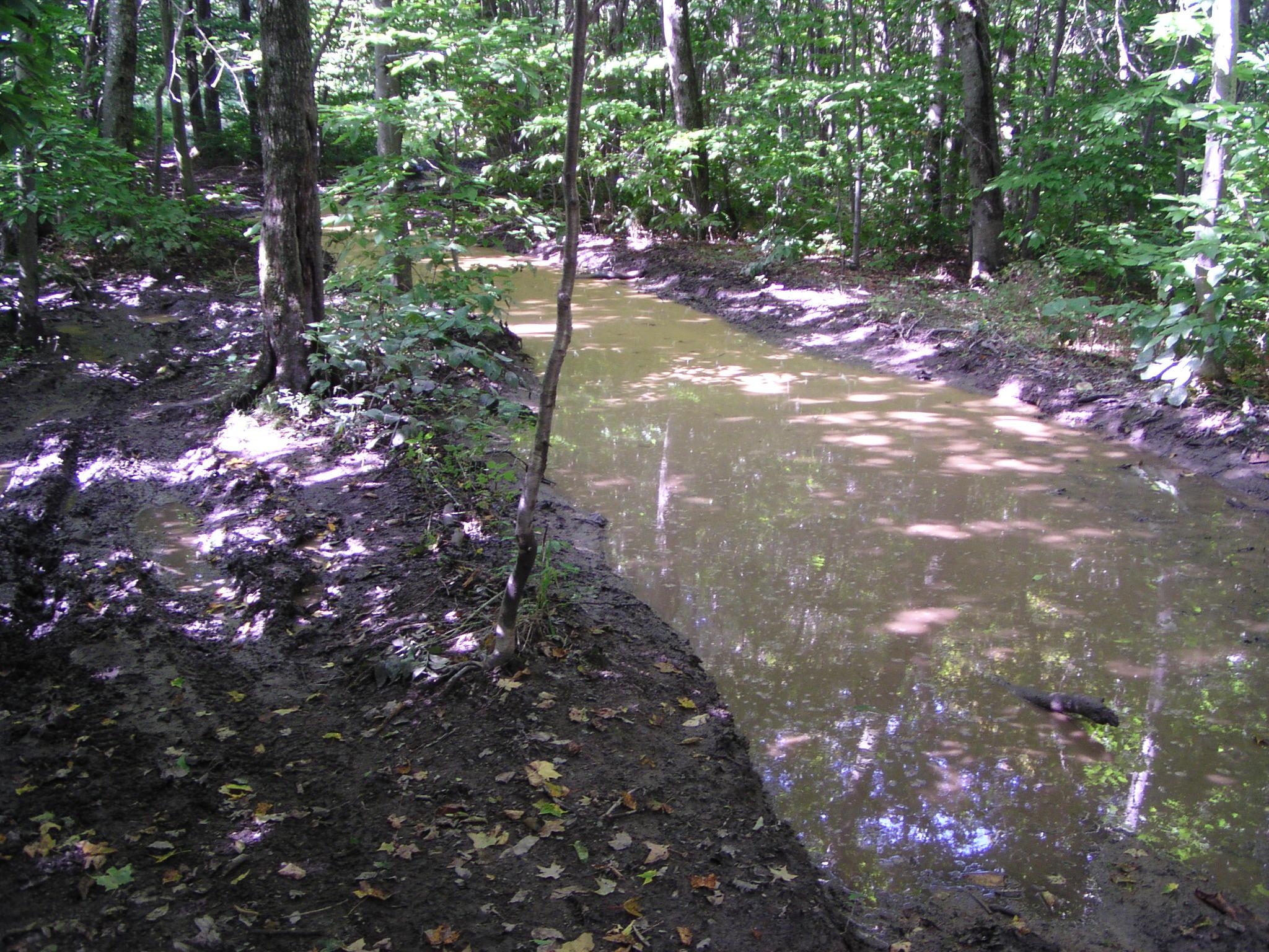 Taconic Crest Trail, Petersburg, New York September 6, 2004