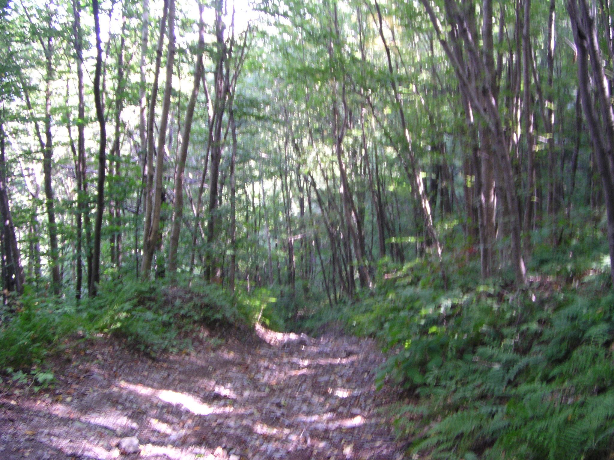 Taconic Crest Trail, Petersburg, New York September 6, 2004